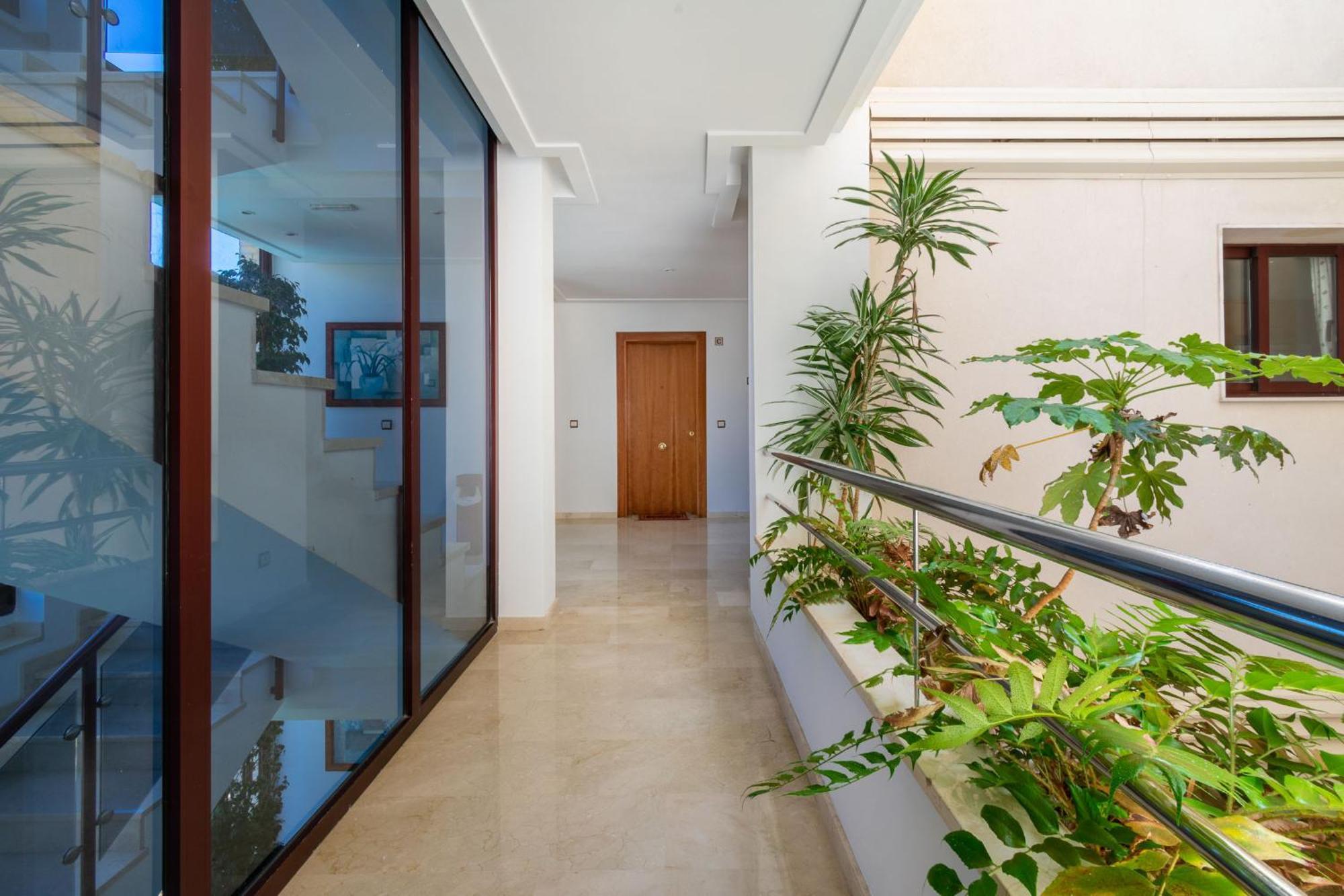 Apartamentos Albir Confort - Avenida 1 Dorm El Albir Exteriér fotografie